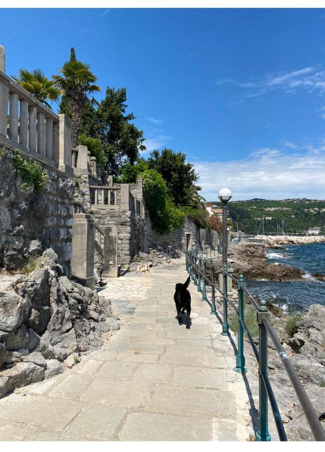 Secret Hideaway In The Volosko Old Town Opatija Eksteriør billede